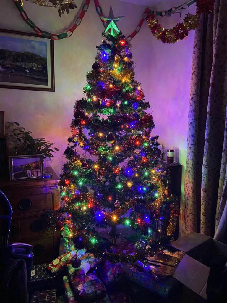 This year's tree