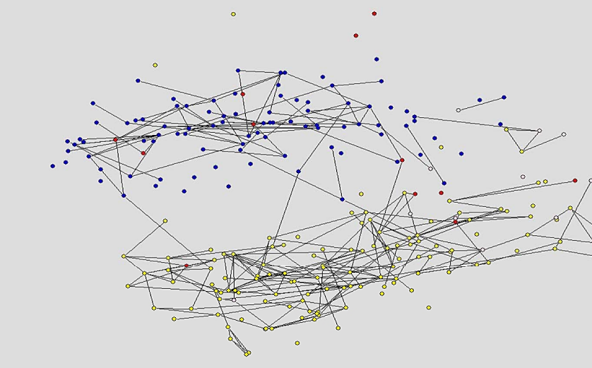 A Network of the Friendships in a High School from the Ad Health Data Set
with Strong Friendships shown. Node colour describes race: green=Asian, blue=Black, red=Hispanic, yellow=White, pink=other/unknown. 

Jackson, M.O., Social Structure, Segregation, and Economic Behavior (February 5, 2009). 