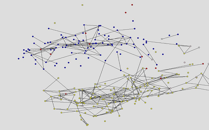 A Network of the Friendships in a High School from the Ad Health Data Set
with Strong Friendships shown. Node colour describes race: green=Asian, blue=Black, red=Hispanic, yellow=White, pink=other/unknown.
Jackson, M.O., Social Structure, Segregation, and Economic Behavior (February 5, 2009).